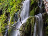 Wasserfälle an Travertinablagerung beim Kozjak See Ufer - Plitvice NP